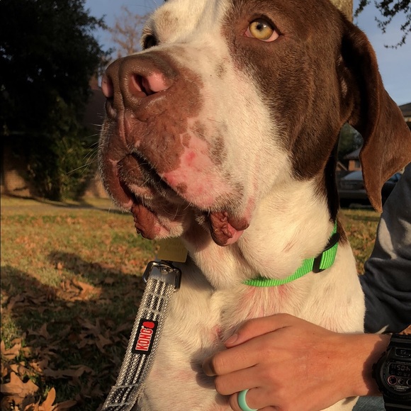 Meet Your Posher 💁🏽 - Picture 4 of 4